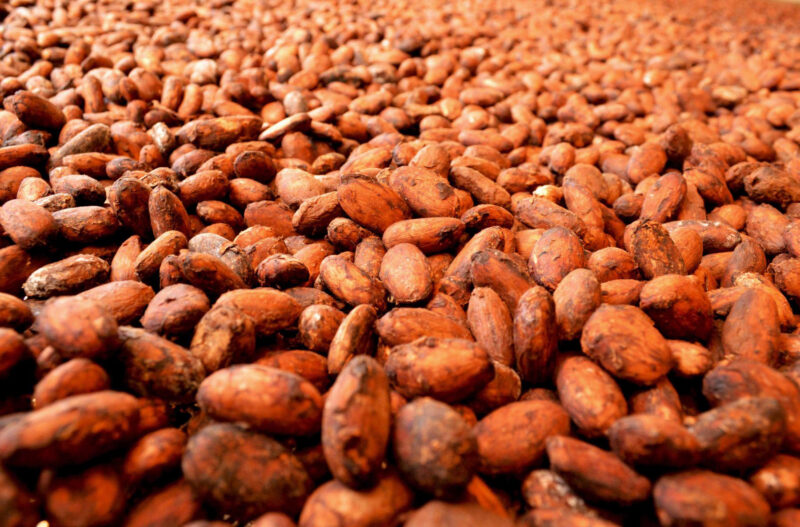 Cacao Nibs - Image 2