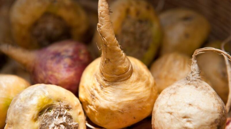 Maca Capsules - Image 2