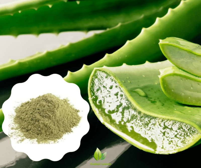 Aloe vera powder - Image 3