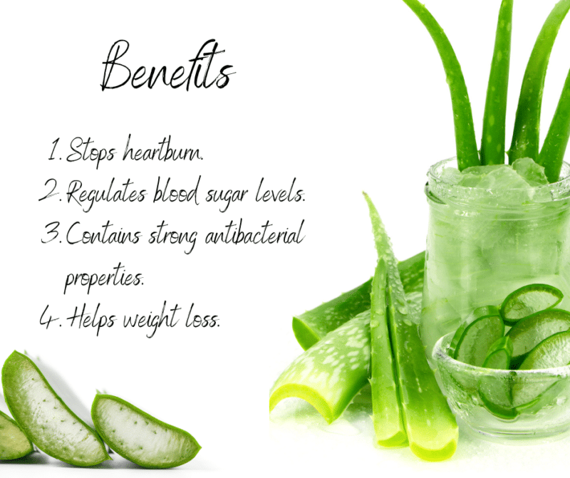 Aloe vera powder - Image 2
