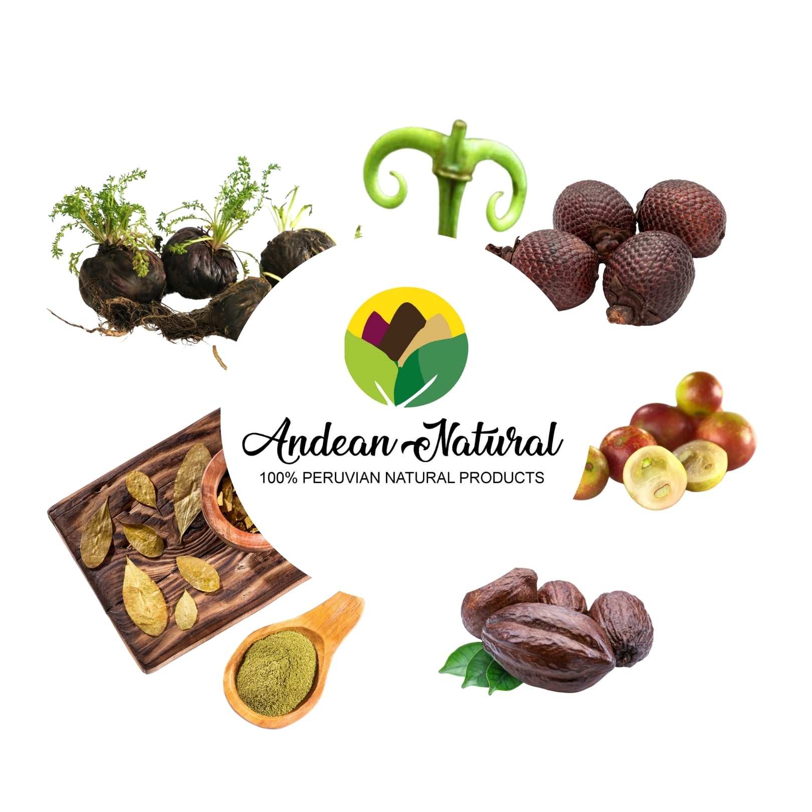 LOGO Y PRODUCTOS